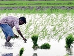 Agriculture