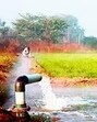 The long-awaited Phina Singh irrigation project in Kangra district has received a sanction of Rs. 55.51 crore from the Central Government under the Accelerated Irrigation Benefit Programme (AIBP) of the Pradhan Mantri Krishi Sinchai Yojana (PMKSY) for States annual plan 2025-26. (Representational image)