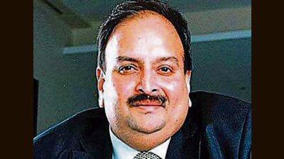 Mehul Choksi (ANI) Mehul Choksi (ANI)
