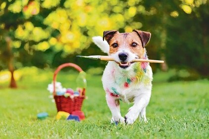 Paint with puppies to relax this weekend! (Photo: Adobestock (For representational purposes only))