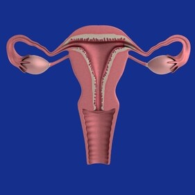 Ovarian cancer: Women should watch out for these warning signs (Pixabay) Ovarian cancer: Women should watch out for these warning signs (Pixabay)