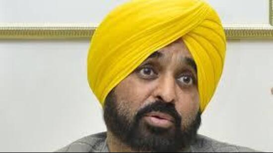 There were a total of 94 AACs in Ludhiana. (HT File)