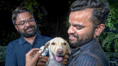 While one more body was found under the tail of Air India's Boeing airliner, local NGO workers also rescued dogs trapped under the debris, in and around the plane crash site. (ANI) While one more body was found under the tail of Air India's Boeing airliner, local NGO workers also rescued dogs trapped under the debris, in and around the plane crash site. (ANI)