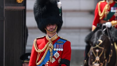 At the Trooping the Colour, Prince William dazzles on horseback in ceremonial regalia. REUTERS/Toby Melville (REUTERS)