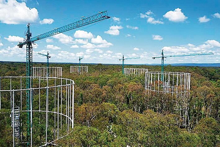 Results have been less than heartening, in the experiments conducted on eucalyptus trees in Australia. (Courtesy EucFACE) Results have been less than heartening, in the experiments conducted on eucalyptus trees in Australia. (Courtesy EucFACE)