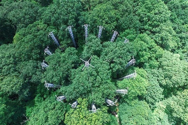 One of the six experimental plots outside Birmingham . (Courtesy BIFoR FACE) One of the six experimental plots outside Birmingham . (Courtesy BIFoR FACE)