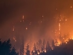 Elk Grove fire: Tower camera captures massive blaze (Unsplash - representational image) Elk Grove fire: Tower camera captures massive blaze (Unsplash - representational image)