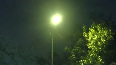 Heavy rain accompanied by strong winds lashed the national capital on Sunday night. (ANI/X) Heavy rain accompanied by strong winds lashed the national capital on Sunday night. (ANI/X)