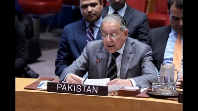 During its presidency, Pakistan can be expected to do all it can to have an open debate on Jammu and Kashmir (AP) During its presidency, Pakistan can be expected to do all it can to have an open debate on Jammu and Kashmir (AP)