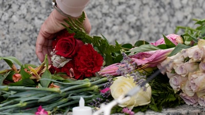 A person places flowers at a makeshift memorial for Minnesota state Rep. Melissa Hortman and her husband Mark at the state Capitol, Sunday, June 15, 2025, in St. Paul, Minn. (AP Photo/George Walker IV) (AP) A person places flowers at a makeshift memorial for Minnesota state Rep. Melissa Hortman and her husband Mark at the state Capitol, Sunday, June 15, 2025, in St. Paul, Minn. (AP Photo/George Walker IV) (AP)