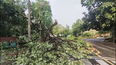 Temperature dipped from around 35°C (recorded at 2:30 am) to 27°C (recorded at 4:30 am). (Vipin Kumar/ HT Photo) Temperature dipped from around 35°C (recorded at 2:30 am) to 27°C (recorded at 4:30 am). (Vipin Kumar/ HT Photo)