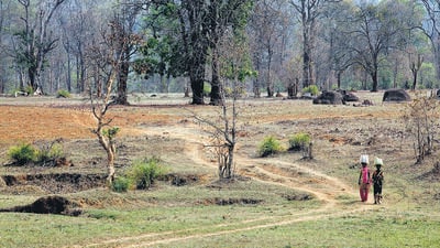 The state government is looking to develop Gadchiroli as the next steel city of the country. (Hindustan Times)
