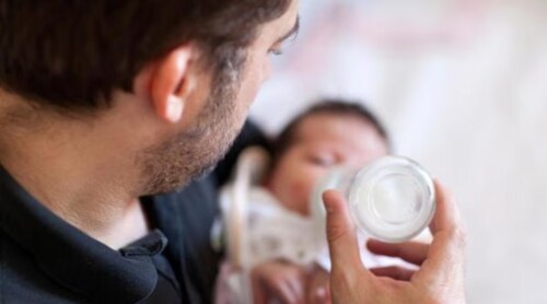 paternity paternity