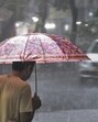 Conditions became favourable last week for further advancement of the monsoon after a hiatus of a fortnight. (PTI) Conditions became favourable last week for further advancement of the monsoon after a hiatus of a fortnight. (PTI)