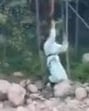 The incident came to light on June 15, after a video of the mishap went viral on social media. (File) The incident came to light on June 15, after a video of the mishap went viral on social media. (File)