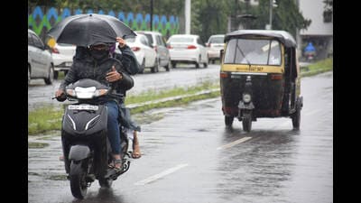The PMC had already done the safety audit of the 98 bridges which include bridges on all the rivers, flyovers and railway over bridges in the city. (HT)