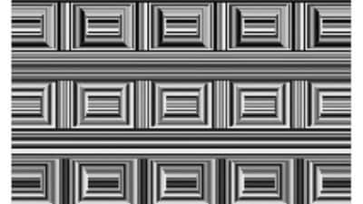 Optical Illusion: Can you spot 16 circles in this image? (Reddit)