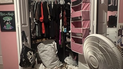 Internet users were challenged by an illusion hiding a cat in plain sight. (Reddit/peach_cartoon)