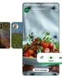 A view of WhatsApp ads. (Official image)
