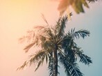 Extreme summer has gripped the US Southwest Extreme summer has gripped the US Southwest