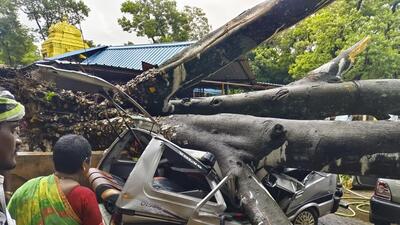 A vehicle crushed under an uprooted tree following strong winds and rain in Chikkamagaluru district of Karnataka on Tuesday (PTI) A vehicle crushed under an uprooted tree following strong winds and rain in Chikkamagaluru district of Karnataka on Tuesday (PTI)
