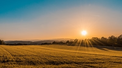 Godrej Properties Ltd on June 17 announced that it will develop a 16-acre land parcel in Upper Kharadi, Pune. (Photo for representational purposes only) (Unsplash) Godrej Properties Ltd on June 17 announced that it will develop a 16-acre land parcel in Upper Kharadi, Pune. (Photo for representational purposes only) (Unsplash)