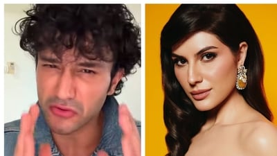 Sahil Salathia took to Instagram and expressed disappointment with Elnaaz Norouzi questioning her betrayal. Sahil Salathia took to Instagram and expressed disappointment with Elnaaz Norouzi questioning her betrayal.
