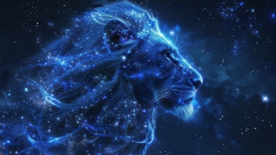 The Nine of Wands needs you to protect your energy, Leo (Freepik)