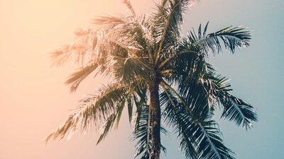 Extreme summer has gripped the US Southwest (Unsplash) Extreme summer has gripped the US Southwest (Unsplash)