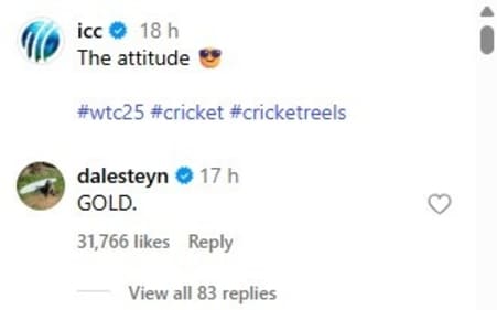 Dale Steyn's post on the ICC video Dale Steyn's post on the ICC video