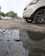 Contaminated water is one of the primary reasons for the spread of cholera. (Sanjeev Verma/HT File Photo)