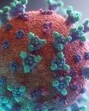 The total reported cases so far stand at 55, with 24 patients having successfully completed home quarantine. (HT Photo) The total reported cases so far stand at 55, with 24 patients having successfully completed home quarantine. (HT Photo)