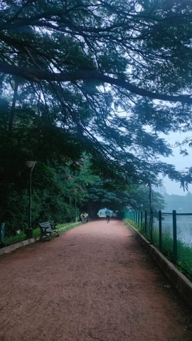 Bengaluru will see a generally cloudy sky over the next 48 hours, accompanied by light rain and winds. (Representational Image) (Anagha Deshpande_HT)