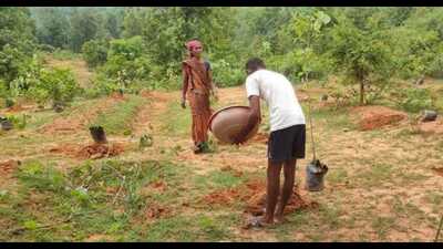 A farmer planting trees on his field (For representation only) A farmer planting trees on his field (For representation only)