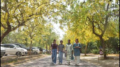 Girls walking under the shade of Amaltas trees in Amritsar on Wednesday. (Sameer Sehgal/ht)