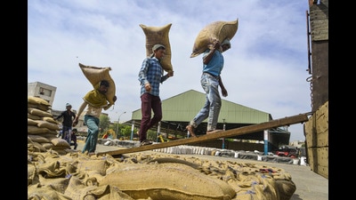 The Food Corporation of India (FCI) is facing an additional logistics cost of at least ₹100 per quintal for storing wheat in steel silos across Punjab. With a total silo storage capacity of 9.85 lakh tonnes in the state, the cost hike could amount to nearly ₹100 crore, officials familiar with the development said. (PTI) The Food Corporation of India (FCI) is facing an additional logistics cost of at least ₹100 per quintal for storing wheat in steel silos across Punjab. With a total silo storage capacity of 9.85 lakh tonnes in the state, the cost hike could amount to nearly ₹100 crore, officials familiar with the development said. (PTI)