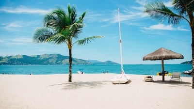 Suspended for saying no to weekend work, an employee went on vacation instead. (Representational image/Unsplash) Suspended for saying no to weekend work, an employee went on vacation instead. (Representational image/Unsplash)
