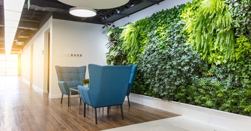 Indoor greenery makes the space more refreshing. (Shutterstock) Indoor greenery makes the space more refreshing. (Shutterstock)