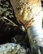 The mortar shell found in Bareilly. (HT PHOTO)