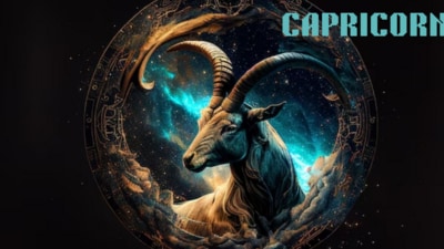 Capricorn Horoscope Today, June 20, 2025: Troubleshoot the love problems today. (Freepik)