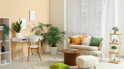Slow down this late summer with refreshing decor. (Shutterstock) Slow down this late summer with refreshing decor. (Shutterstock)