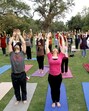 Yoga must be seen not just as a practice, but as a participatory movement — a jan andolan for health and wellness. (AP)