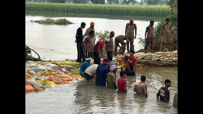 A breach in a canal near Khadial village, which inundated approximately 150 acres of agricultural land, has been plugged, bringing immediate relief to affected farmers, sub-divisional magistrate (SDM) Parmod Singla said on Friday, confirming that the water flow has been halted. (HT Photo)