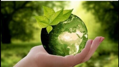 The policy will give new shape to cities with development of vertical and rooftop gardens besides Miyawaki forests. (Pic for representation) The policy will give new shape to cities with development of vertical and rooftop gardens besides Miyawaki forests. (Pic for representation)