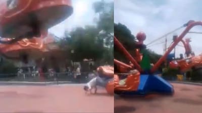 The police has registered an FIR against the park's manager. (X) The police has registered an FIR against the park's manager. (X)