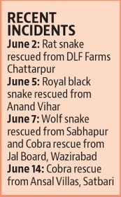 Recent incidents of snake rescue from across Delhi-NCR. Recent incidents of snake rescue from across Delhi-NCR.