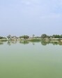 A pond in Greater Noida’s Bhola Rawal village. (Sunil Ghosh/HT photo)
