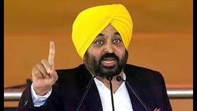 Chief minister Bhagwant Mann (HT File) Chief minister Bhagwant Mann (HT File)