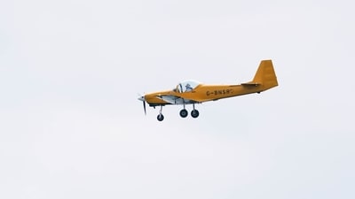 Fatal crash at Sugar Valley Airport occurs as pilot attempts to dodge a turtle on the runway. Two dead. (Unsplash) Fatal crash at Sugar Valley Airport occurs as pilot attempts to dodge a turtle on the runway. Two dead. (Unsplash)