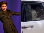 Shah Rukh Khan was spotted in Mumbai with his dog. Shah Rukh Khan was spotted in Mumbai with his dog.